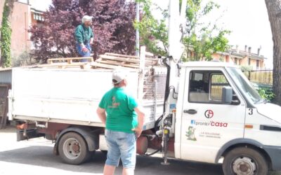 La Cura del Giardino in Autunno: Consigli di Alessandro, Il Tuo Giardiniere in Provincia di Vicenza